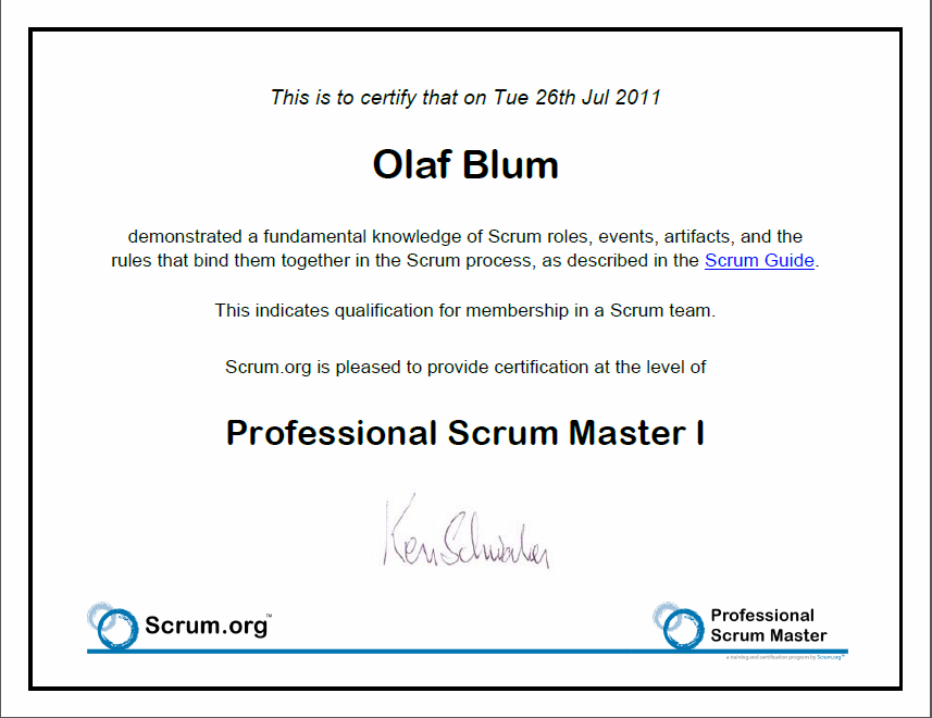 Scrum Master I